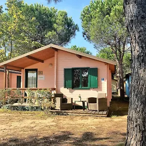 Affittacamere Tuscany, Viareggio